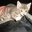Tabitha